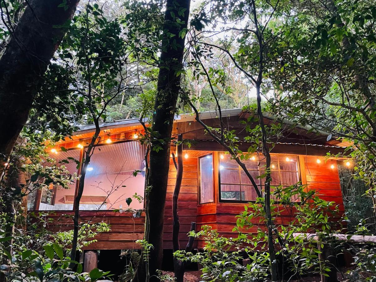 Cabanas La Montana Monteverde Zewnętrze zdjęcie