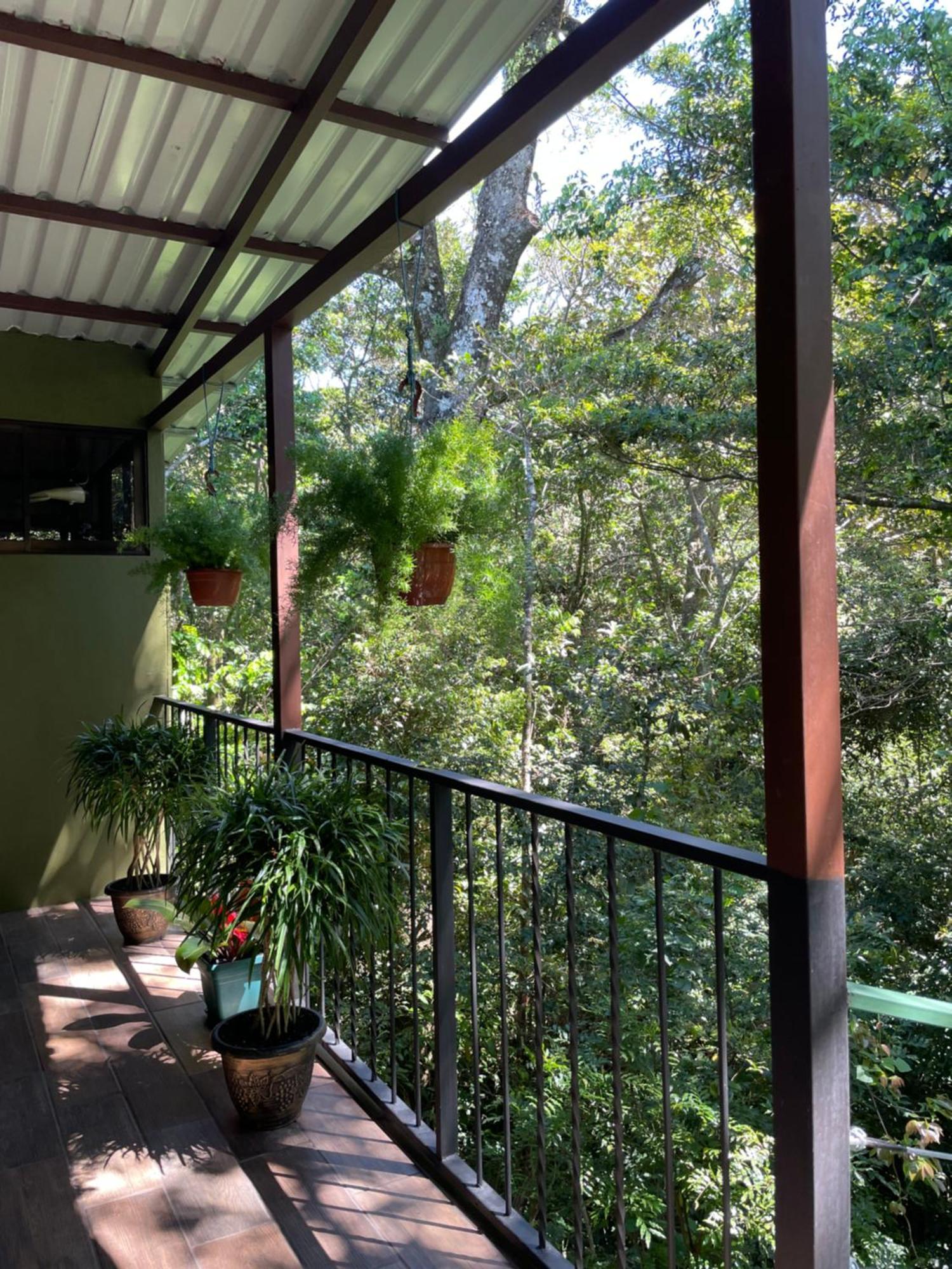 Cabanas La Montana Monteverde Zewnętrze zdjęcie