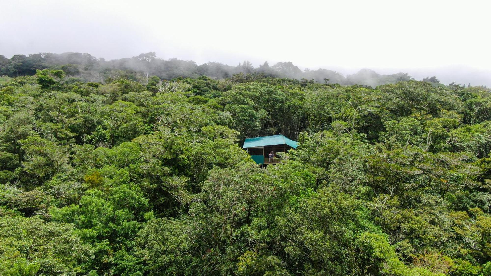 Cabanas La Montana Monteverde Zewnętrze zdjęcie