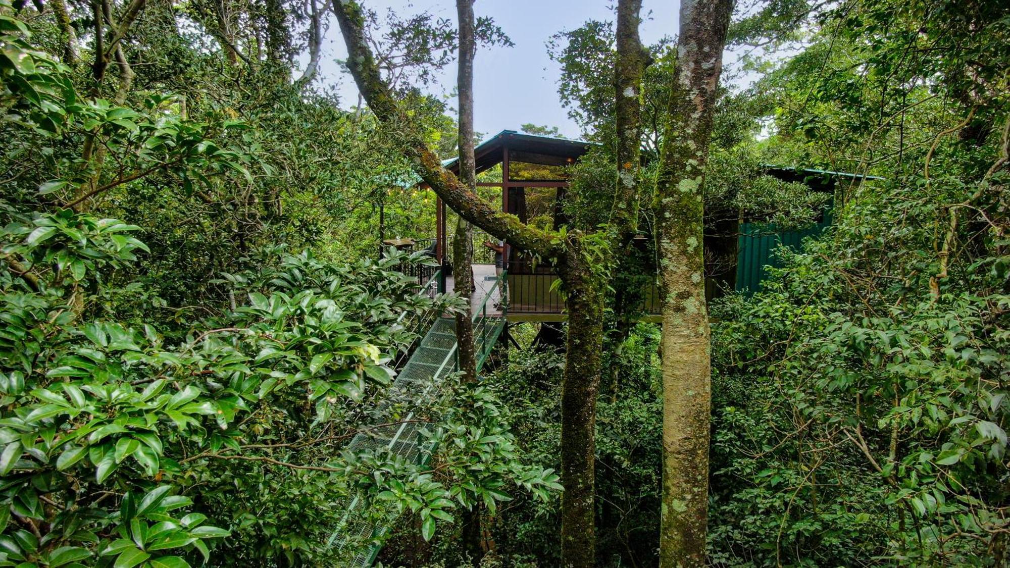 Cabanas La Montana Monteverde Zewnętrze zdjęcie