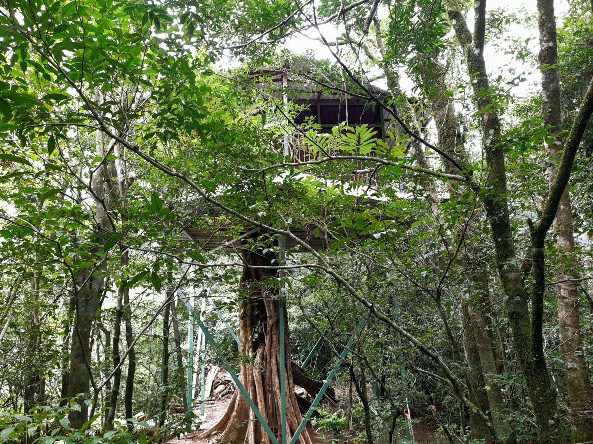 Cabanas La Montana Monteverde Zewnętrze zdjęcie