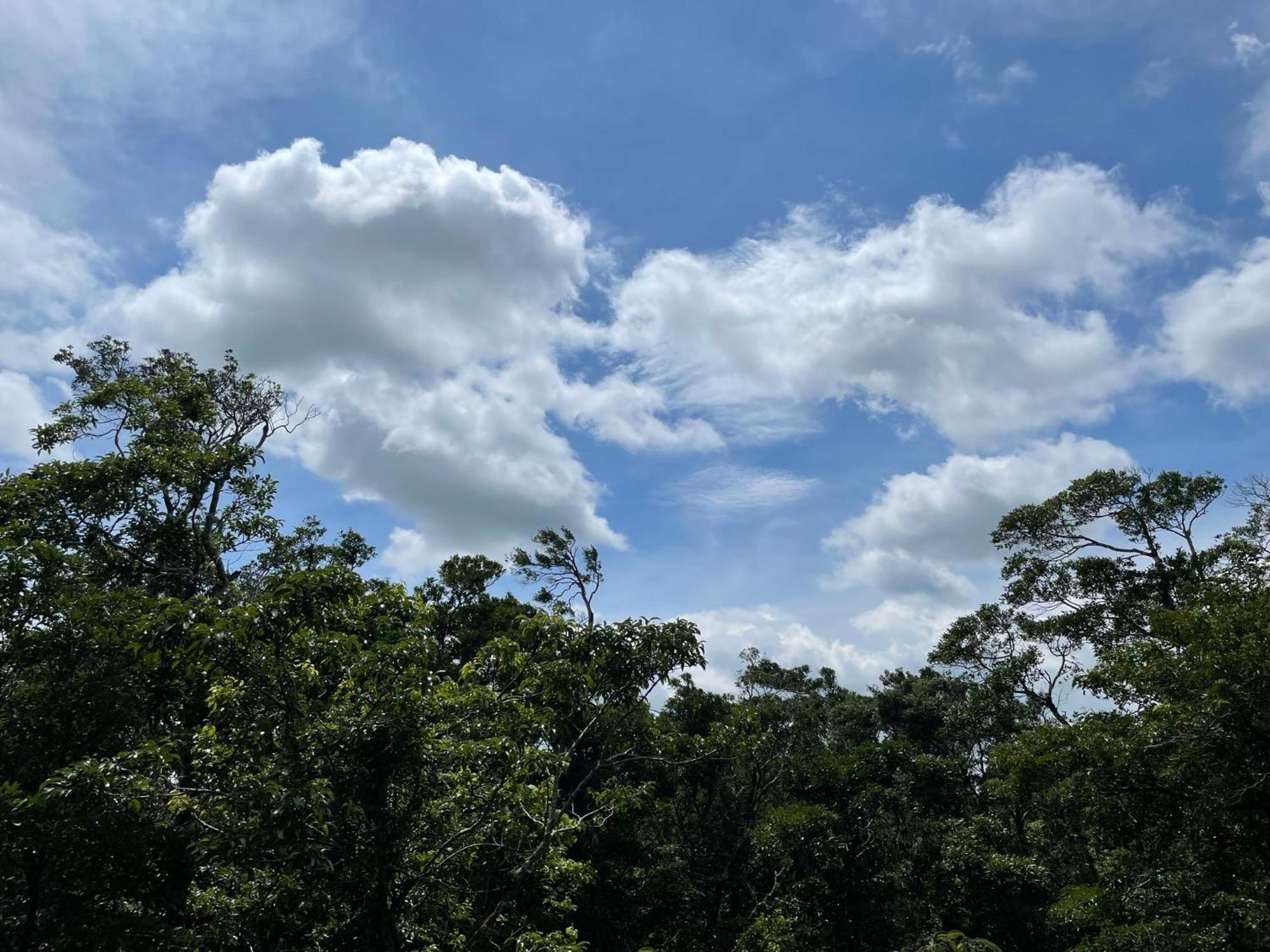 Cabanas La Montana Monteverde Zewnętrze zdjęcie